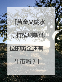 黄金又跳水，持续刷新低位的黄金还有牛市吗？